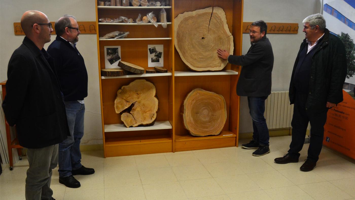 A EE Forestal reúne na súa xiloteca máis de 400 mostras de madeira de máis de 100 especies