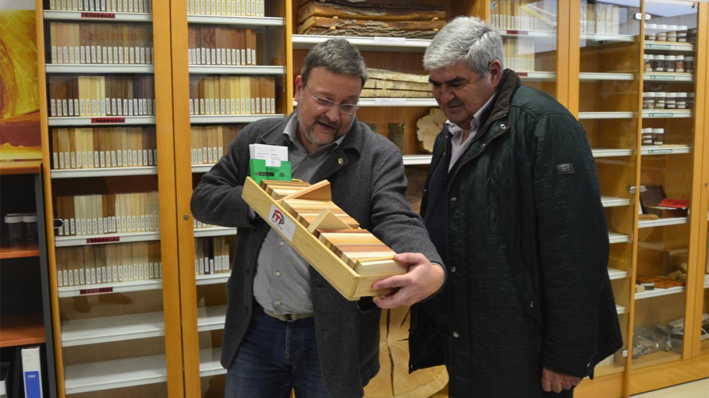A EE Forestal reúne na súa xiloteca máis de 400 mostras de madeira de máis de 100 especies