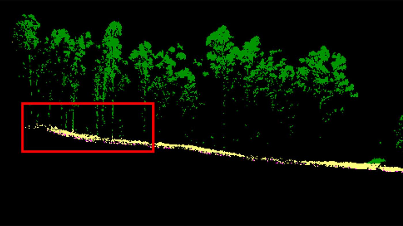 O uso de tecnoloxía Lidar nun drone permite detectar en Tambo árbores de 50 metros