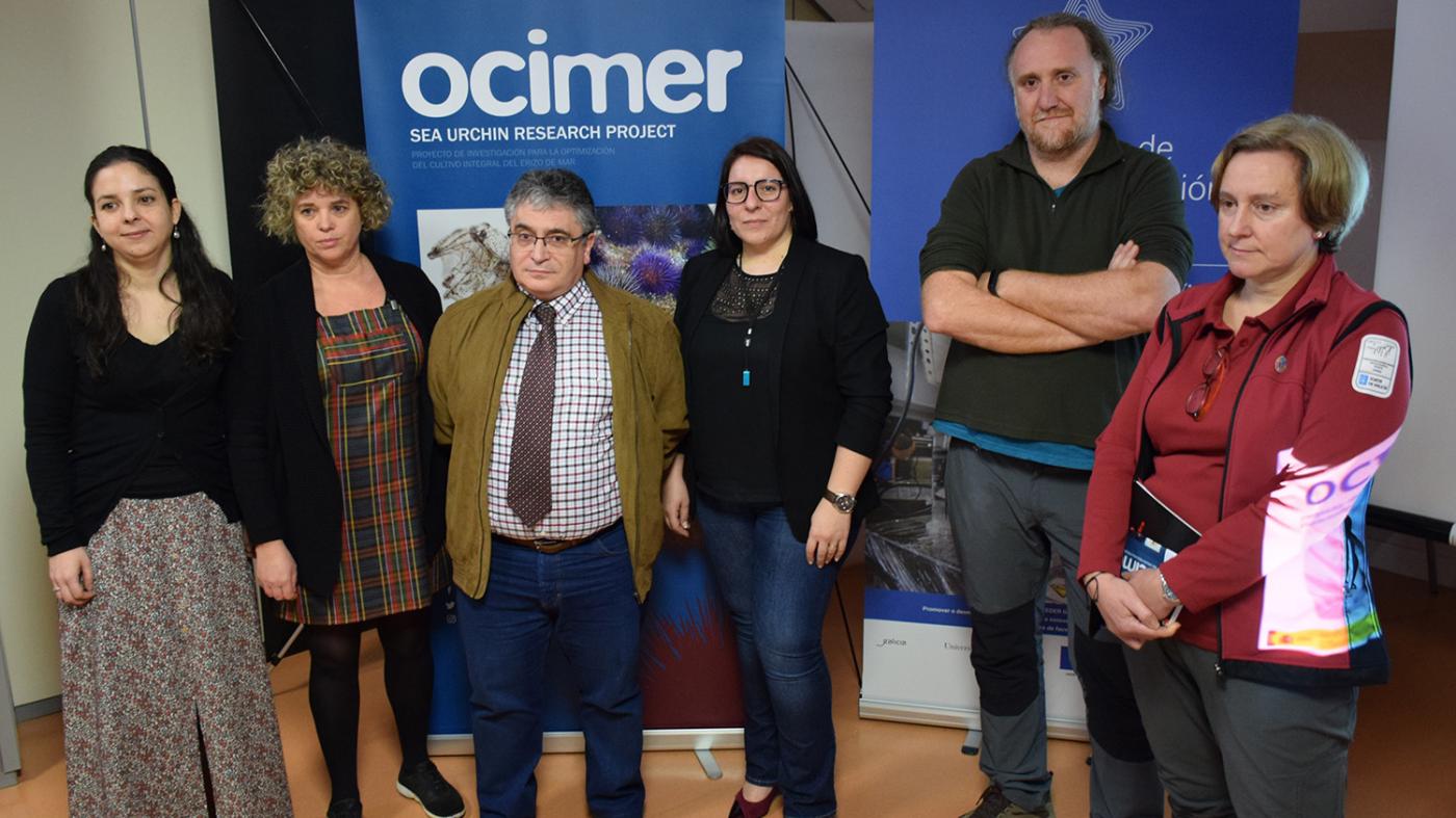 O proxecto Ocimer mellorará o cultivo do ourizo de mar e repoboará con 30.000 exemplares as zonas sobreexplotadas da ría de Vigo