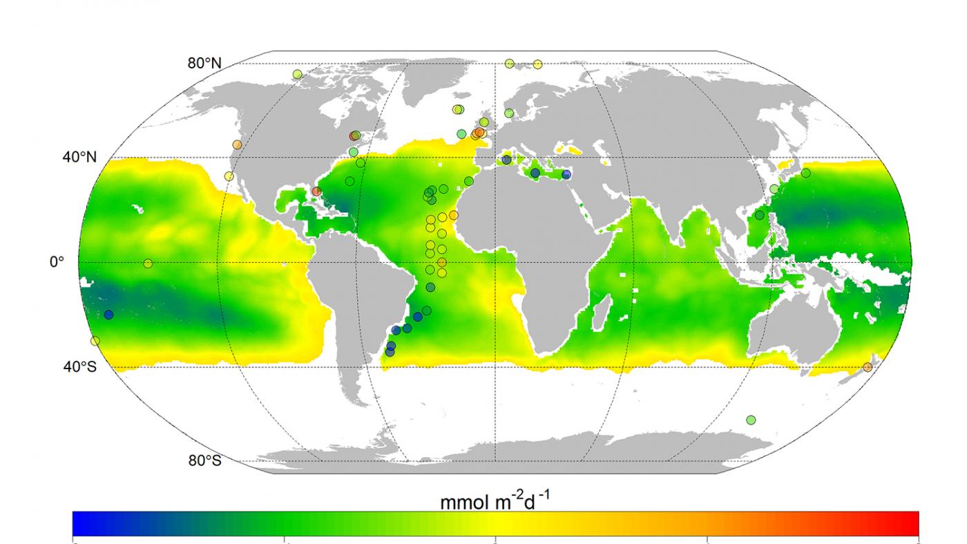 Un estudo de investigadores do CIM xera o primeiro mapa da mestura de nitrato dende augas profundas a escala global