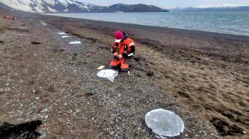 Investigadores do CIM-UVigo comezan na Antártida os experimentos para avaliar o efecto da radiación solar e da temperatura nas macroalgas