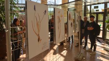 Literatura e natureza conéctanse nunha exposición sobre as flores e plantas presentes na obra de Rosalía de Castro