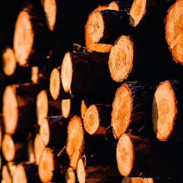 A EE Forestal avalía coa Xunta o impacto da crise da COVID-19 na industria da madeira