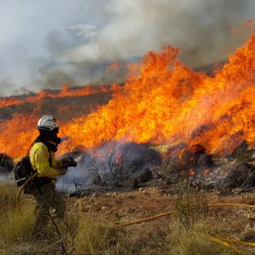 A EE Forestal participa nunha declaración de consenso sobre como facer fronte aos grandes incendios 