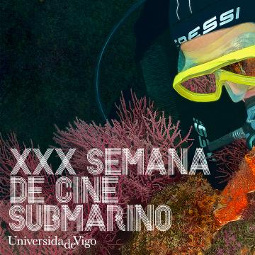 Cartel da XXX Semana de Cine Submarino